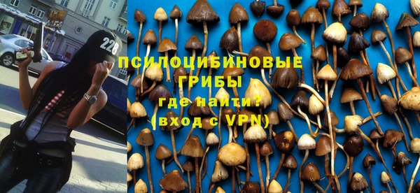 трава Тавда