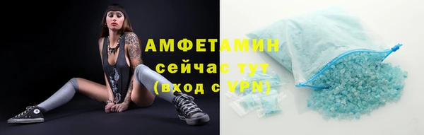 ECSTASY Тайга