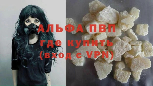 трава Тавда