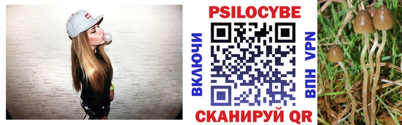 Галлюциногенные грибы Psilocybe Калтан